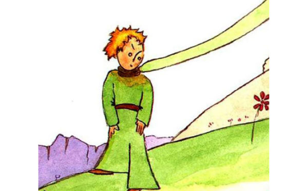 Il Piccolo Principe Art. (6)